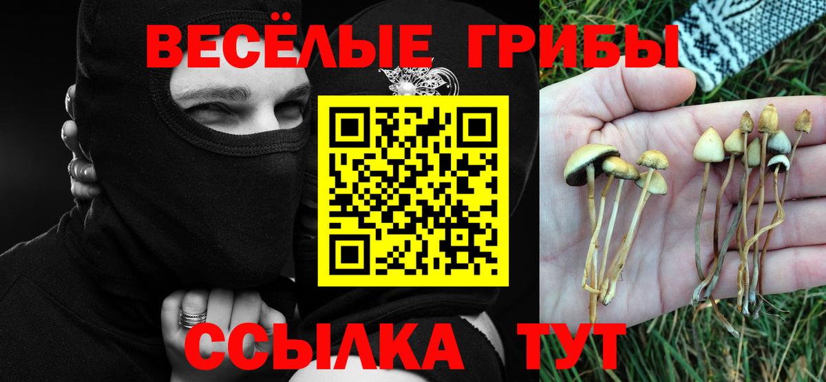 Галлюциногенные грибы мухоморы  Галлюциногенные грибы мухоморы  Вход с VPN  Балашов 